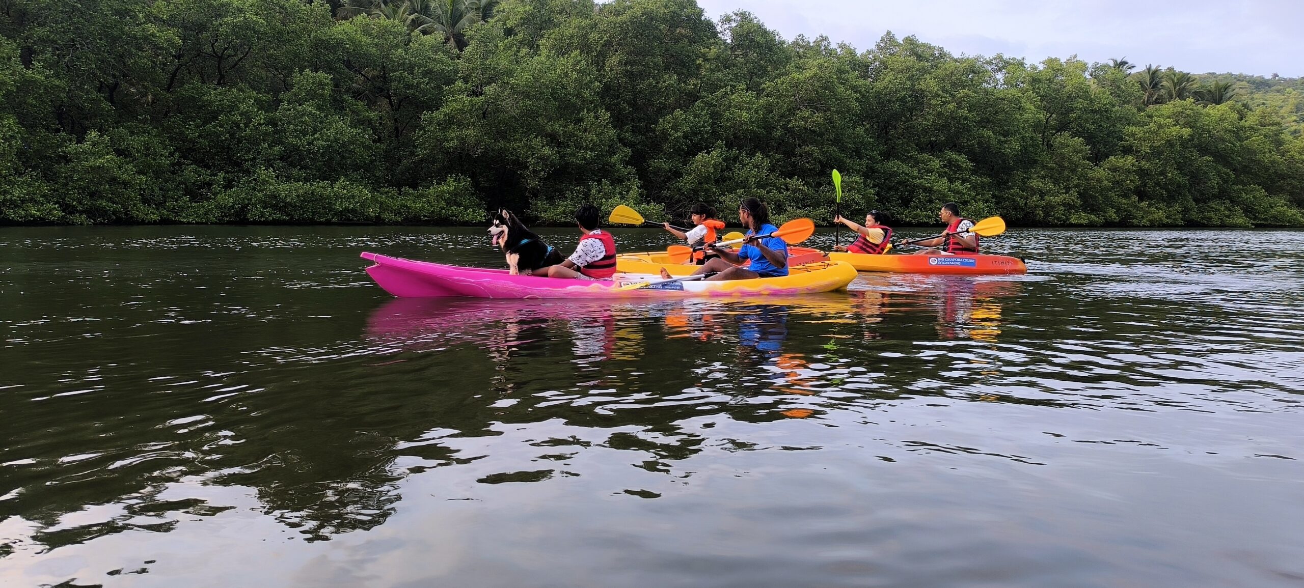 Kayaking in Morjim Chapora River Goa - SVS Chapora Cruise
