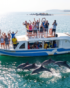 Tourists spotting and photographing dolphins during SVS Chapora morning river cruise