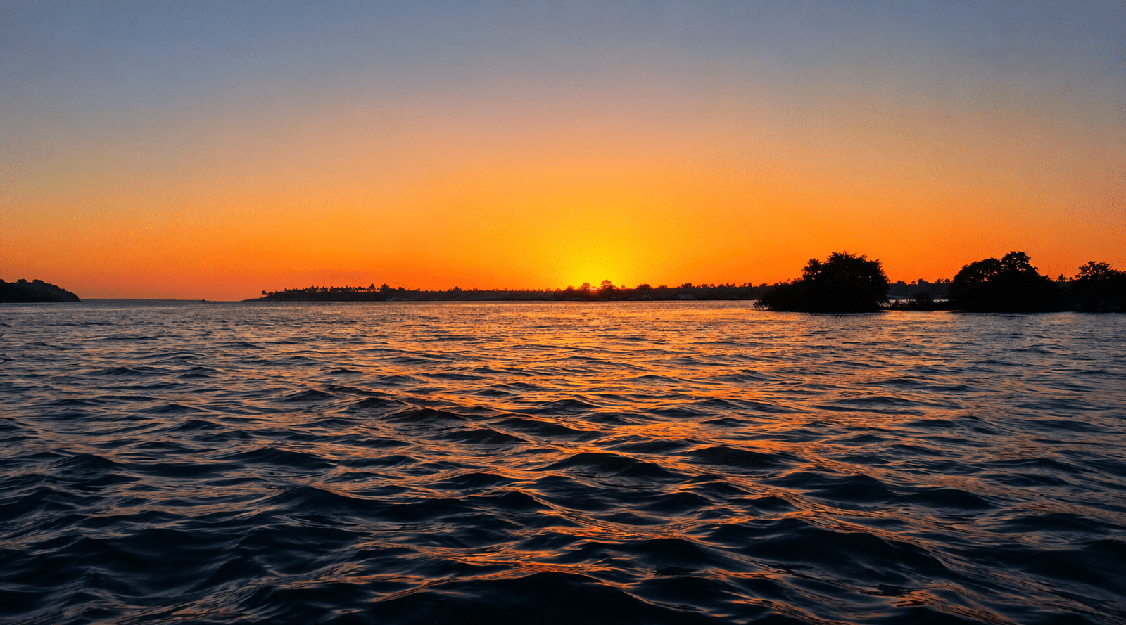 TRANQUILITY CRUISE - Image 4