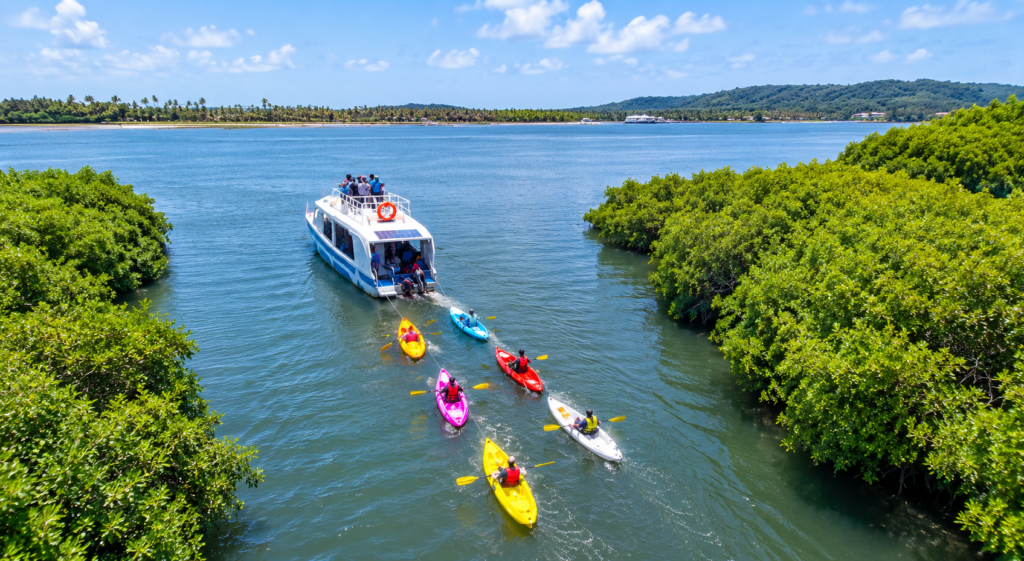 Tourists kayaking through mangrove forests in Chapora Goa